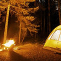 Thermal Cameras for Camping Wildlife