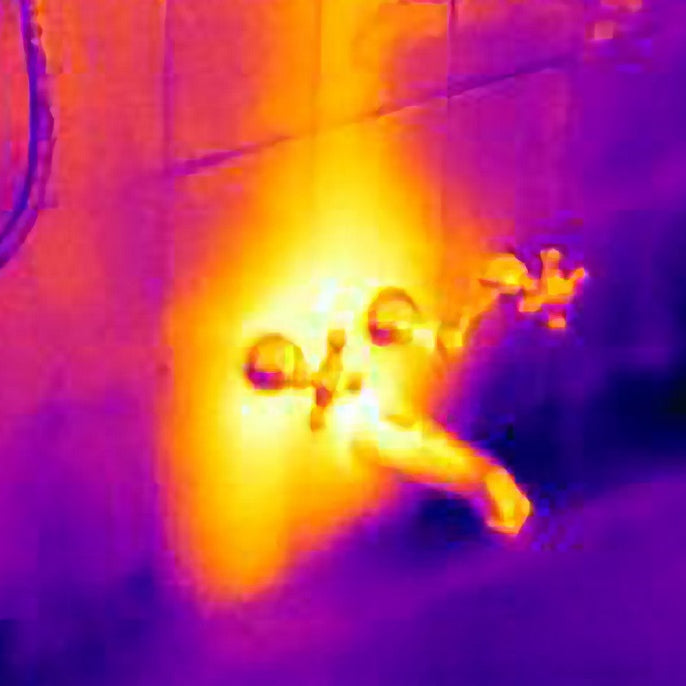 Thermal Infrared Camera Buyers Guide