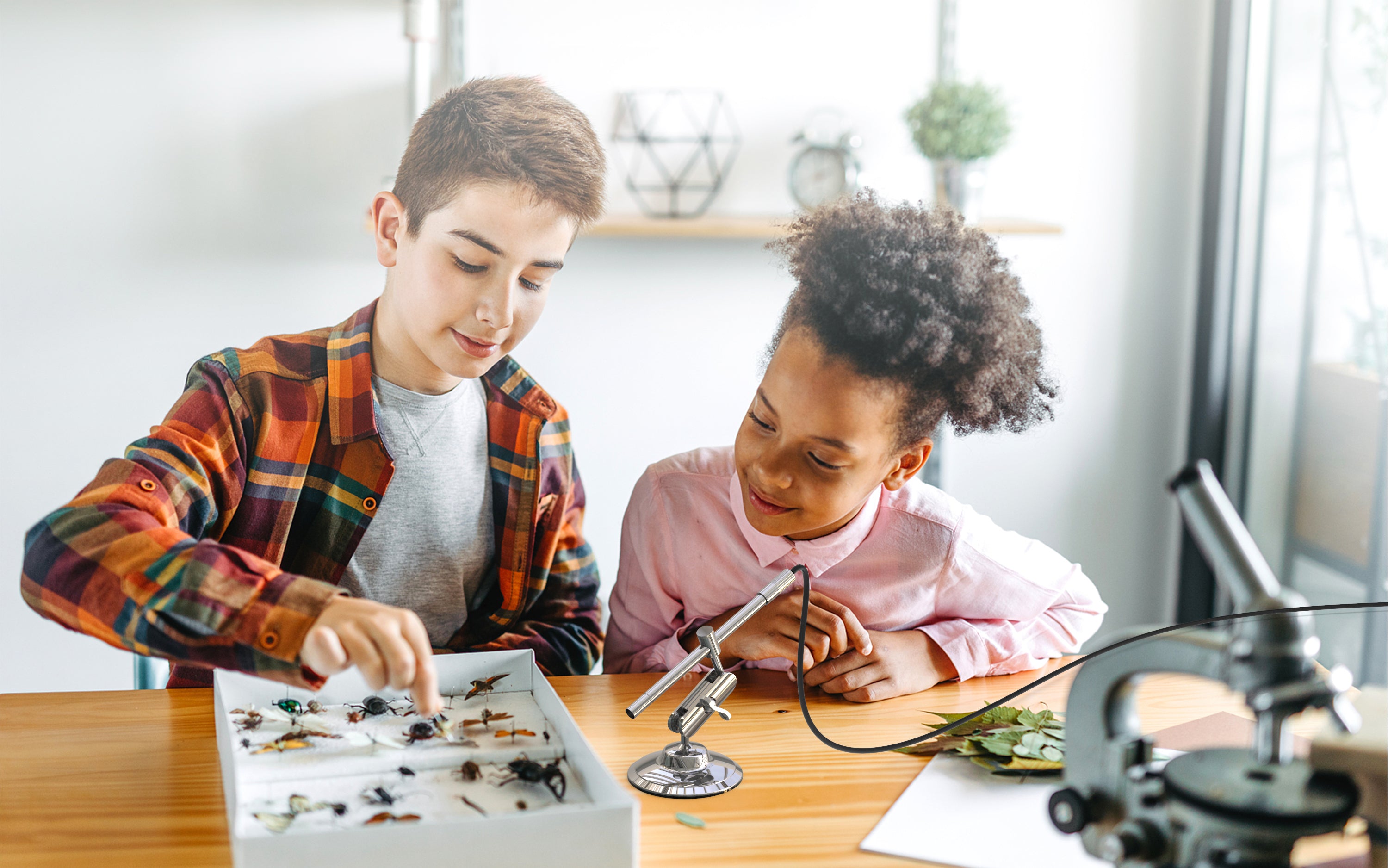 MS100 Portable USB Microscope — Teslong