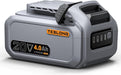 Teslong 20V 4.0Ah lithium-ion battery