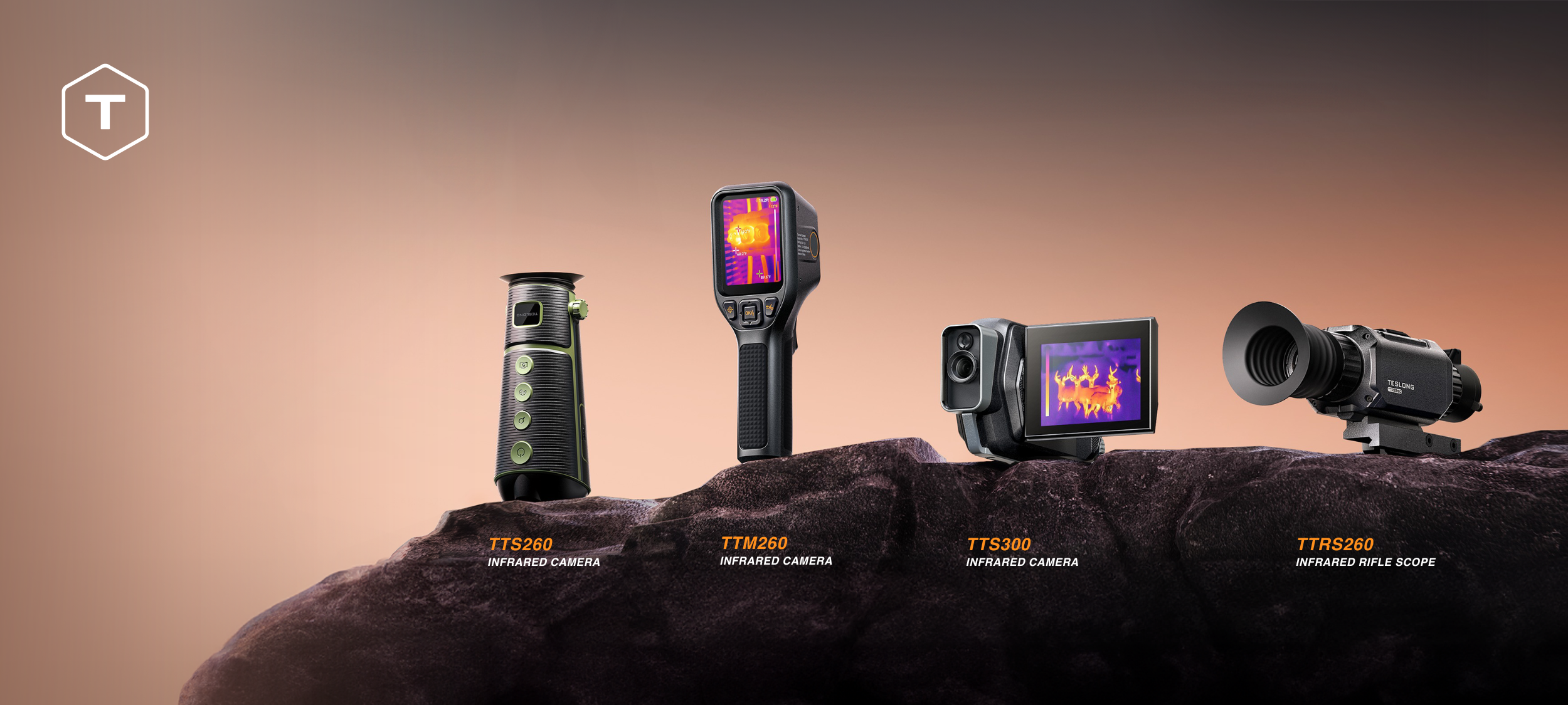 Inspection Cameras: Borescopes, Endoscopes, Otoscopes, Thermal imaging ...